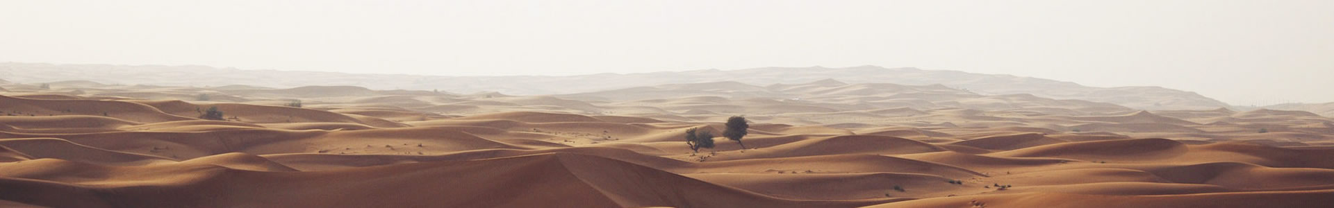 ӱƼ޹˾